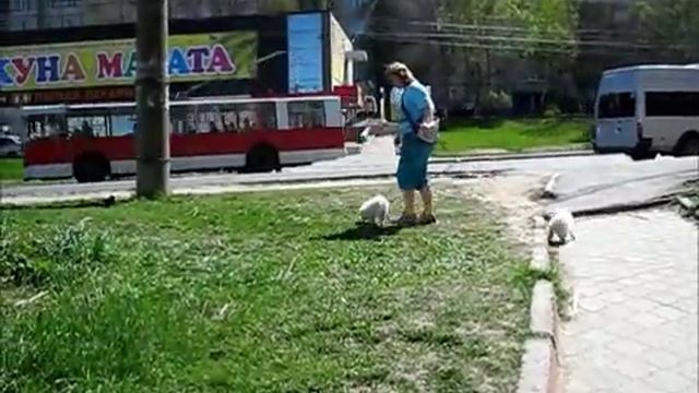 2018 05 13 в городе смотреть онлайн