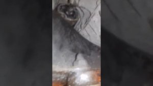 Снятие стартера Mercedes w210