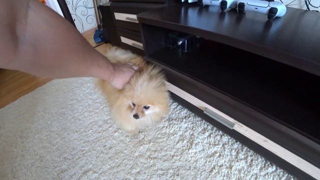 Тест экшн камеры Sony AS300 /X3000 под водой и как она подходит для влогов смотреть онлайн