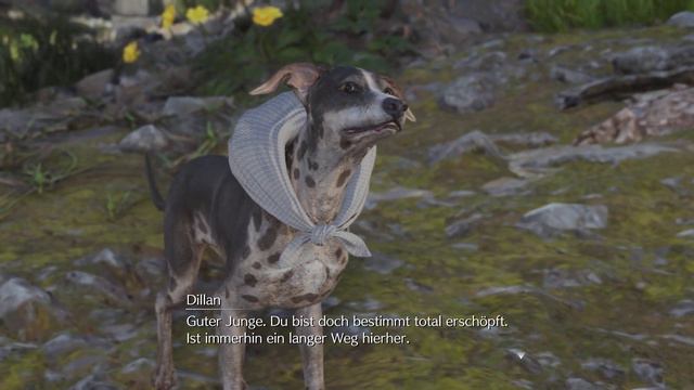 Final Fantasy 7 Rebirth 24 - Willkommen im Krähennest - Let's Play Deutsch смотреть онлайн