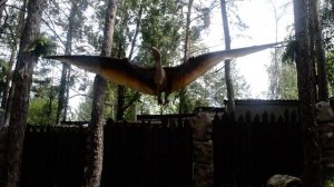 Птеродактиль. как живой!!!!!