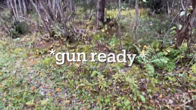 COYOTES SURROUND us during a BOIL UP! Small game Hunting ,Western Newfoundland @AndrewMossOutdoors смотреть онлайн