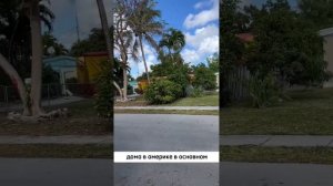 Во Флориде жить - термитов бояться