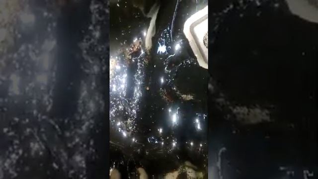 Результат использования не качественного моторного масла!? #моторноемасло #замена #двигатель смотреть онлайн