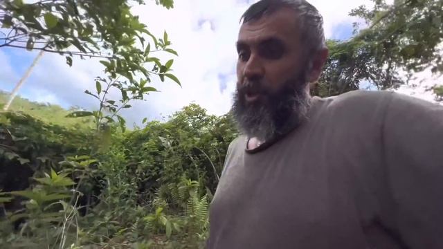 Доминикана / На золото через Янтарь #2 / Dominikan Channel смотреть онлайн