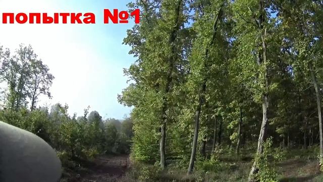 Нагонка гончей проба №1 встречи на нагонке Русские пегие гончие смотреть онлайн