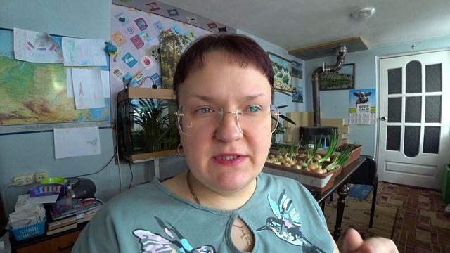 Весеннее выращивание пекинской капусты смотреть онлайн