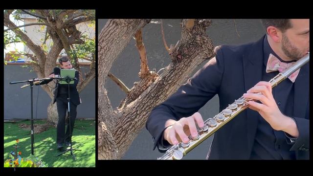 Quarantine Clip: Vivaldi's "Vedró con mio diletto" from "Giustino" (arr. Ben Smolen) смотреть онлайн