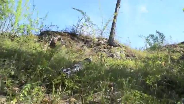 ПОХОД НА ГОРУ смотреть онлайн