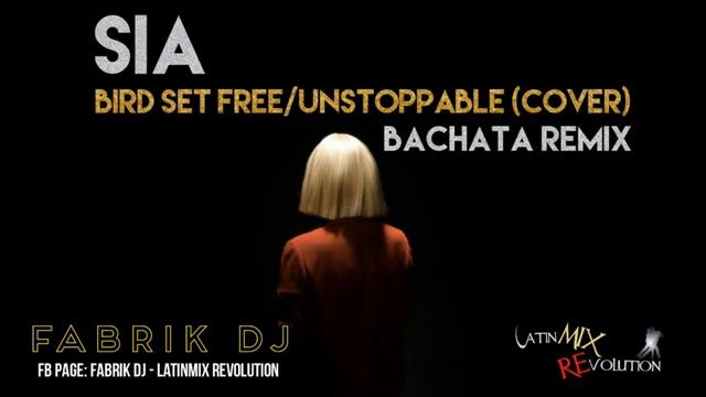 Bird set Free/Unstoppable SIA (cover) bachata remix - Fabrik DJ смотреть онлайн