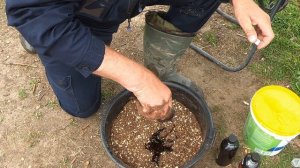 ПРИКОРМКА ДЛЯ ТРОФЕЙНОГО КАРПА