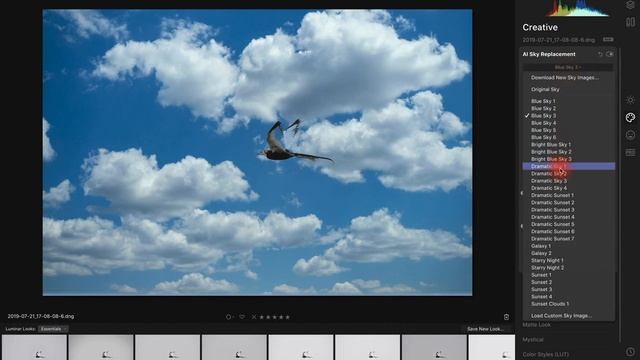 Luminar 4 - No Sky No Problem...Just a bug! смотреть онлайн