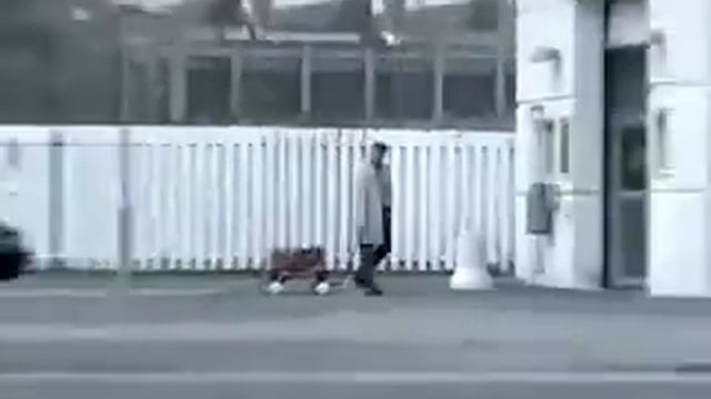 Peugeot 309 forever смотреть онлайн