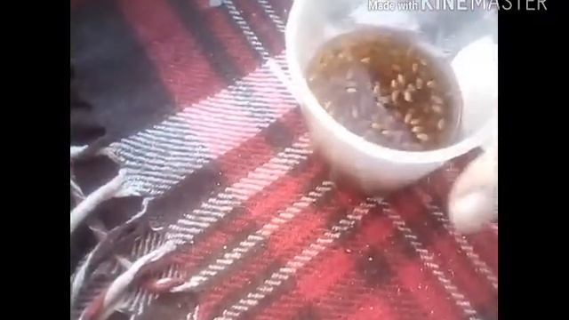 Мой ТОП: Подтягивающие-омолаживающие маски для лица смотреть онлайн