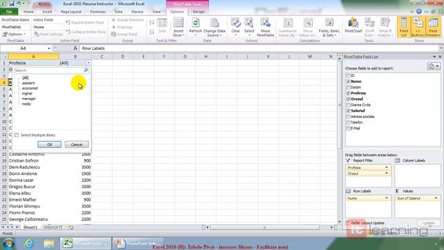 Demo lecție Excel 2010 - Tabele Pivot - Inserare Slicers смотреть онлайн