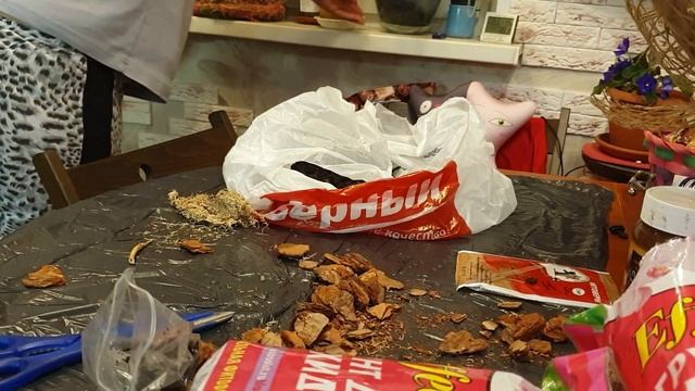 Как избавиться от мошек Сциаридов? Как спасти орхидеи и комнатные растения смотреть онлайн