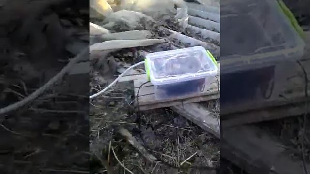 ПОДКЛЮЧЕНИЕ ЭЛЕКТРОПАСТУХА смотреть онлайн