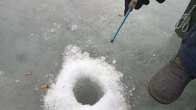 Молодой парк. Карась со льда, солнечный окунь. 3 марта 2023#рыбалка смотреть онлайн