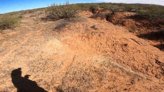 Saker Falcon Chasing a Cottontail in Northern Arizona Desert смотреть онлайн