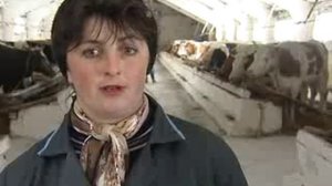 Должанский район – самый удаленный от областного центра. Его экономика, как на трех китах, держится