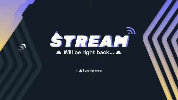 Live With Siya Gaming//Team Code Game Play