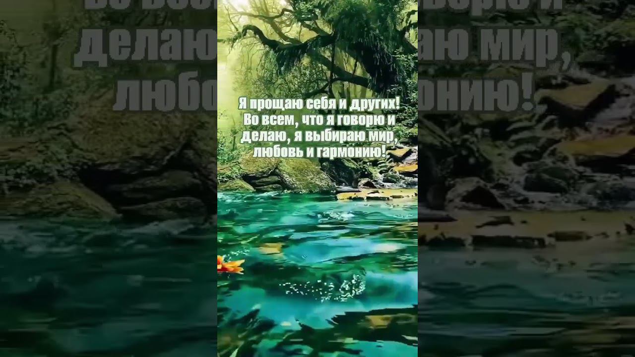 Я выбираю мир и любовь! #аффирмации #любовь #жизнь #изобилие #душа #love #гармония#motivation смотреть онлайн