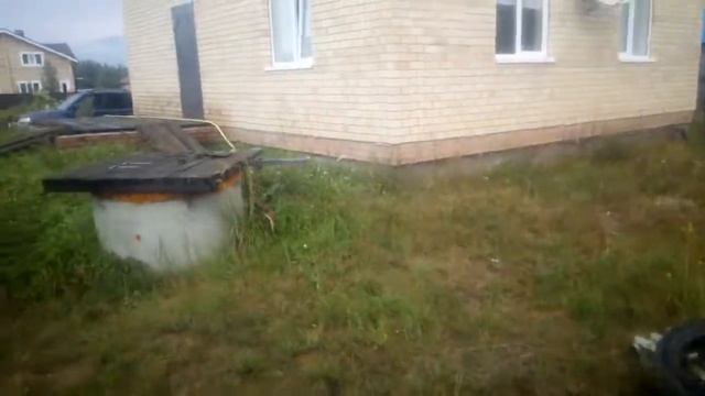 Выращиваем грибы на участке смотреть онлайн