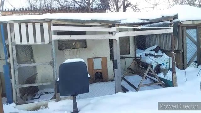 ✔Без Отопления Курятник/Два Вида Освещения в Курятнике?/Курятники за Копейки!Как Устроены Курятник смотреть онлайн