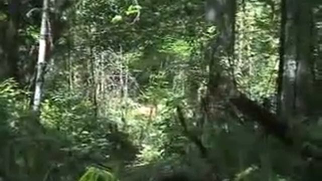 2004 Local Progression Freeride Video [part 1 Of 2]