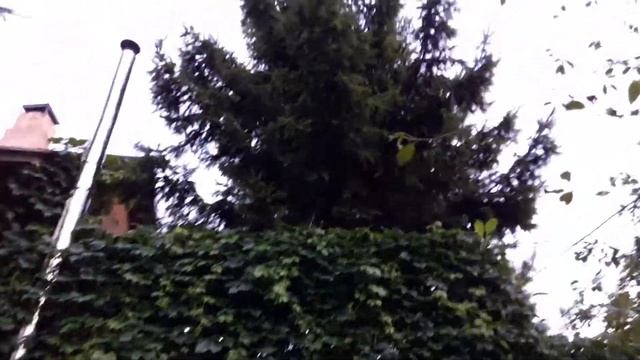 Безопасный дымоход бани.