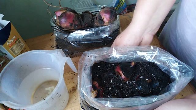 Кулинарный Аромат