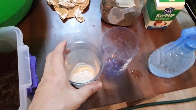 Эксперимент по разведению Гриндаля и Нематоды! Попробуем раскачать культуру! Будни аквариумов! смотреть онлайн