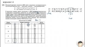 НОВОЕ 27 задание ЕГЭ биология 2020 Рохлов разбор | БиоХак