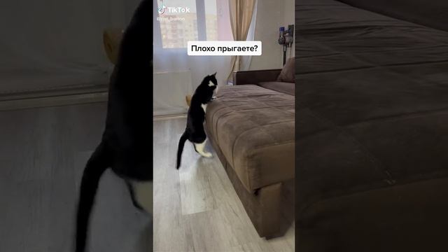 тик ток юмор смотреть онлайн