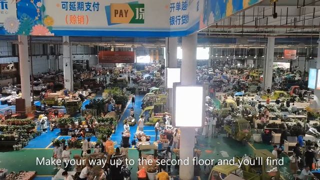 Dounan Flower Market| Kunming Yunnan, China| Travel