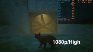 Stray - Xeon E3 1280 V3 + GTX 1650