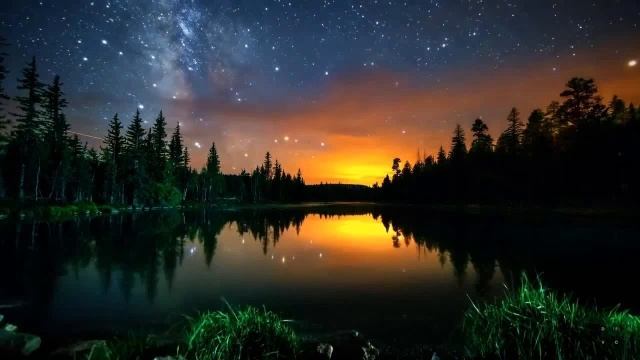 Ночные звуки природы Пение сверчков, стрекотание цикад и кузнечиков