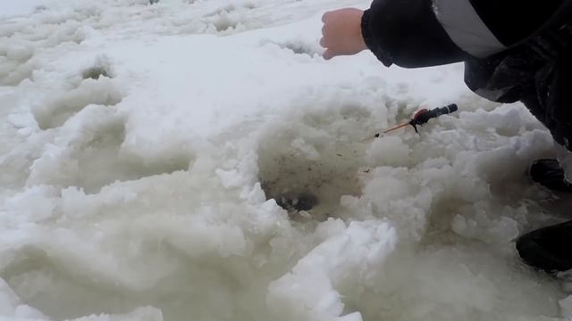 ПОДЛЕДНАЯ ЛОВЛЯ) ЛОВИМ ОКУНЯ , ПЛОТВУ ) смотреть онлайн