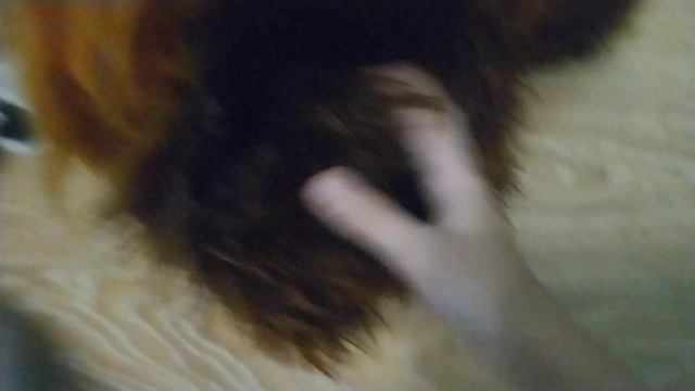 мои фурсьюты/ обзор фурстютов/мои фурсьюты за 2023 год/ всех с наступающим новым годом 2023-2024 смотреть онлайн