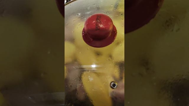 готовка мяса вкусного начало смотреть онлайн