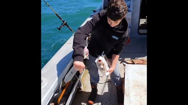 Keepa Scoop Presentation смотреть онлайн