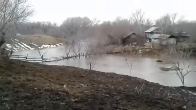 Село Огни Усть-Калманский район Алтайский край смотреть онлайн