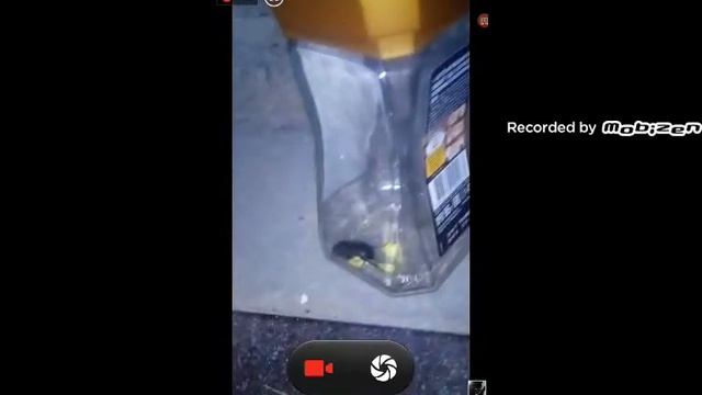 Черный майский жук смотреть онлайн