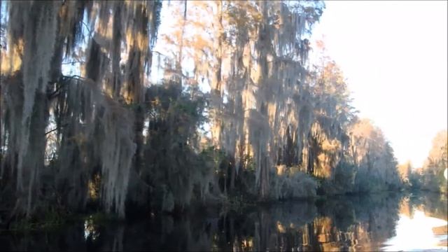 Amelia Island Kayak Excursions Okefenokee Swamp mini video смотреть онлайн