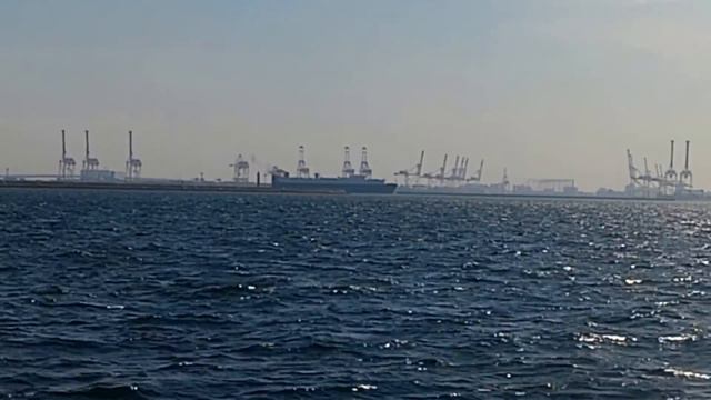 Sea of Japan (Японское море) смотреть онлайн