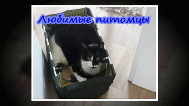 Школьной подруге в День Рождения! смотреть онлайн