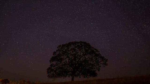 meditation music for relax your soul and body смотреть онлайн