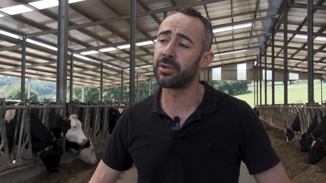“Las vacas cruzadas van más al robot porque son más vivas” смотреть онлайн