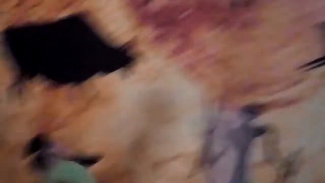 Жирафы Николаев смотреть онлайн