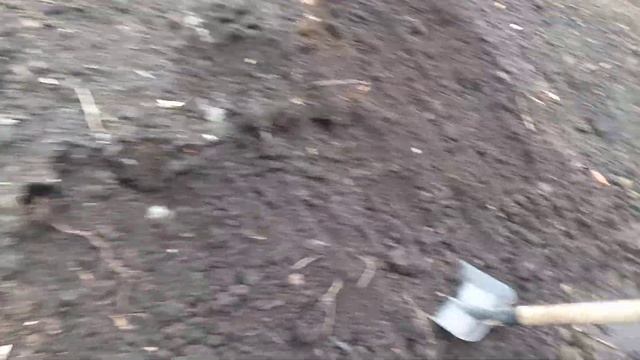 Добываем торф для растений. 7 мая смотреть онлайн